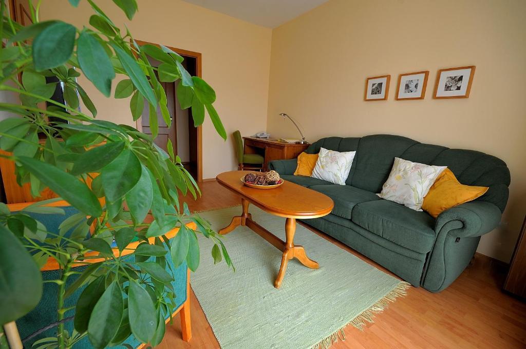 Penzion Tematin Piest'any Habitación foto